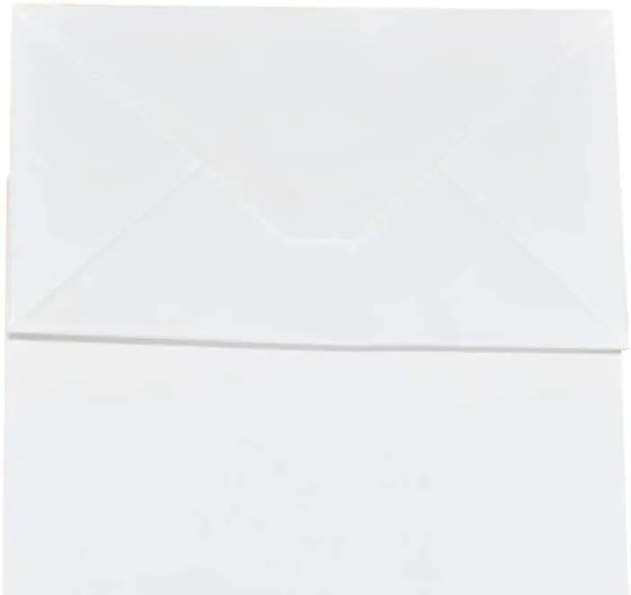 bagmad 50 Pack 5.25x3.25x8 Inch Sturdy Small White Gift Paper Bags with Handles Bulk, Kraft Bags, Craft Grocery Shopping Business Retail Party Favors Wedding Sacks (White, 50pcs)