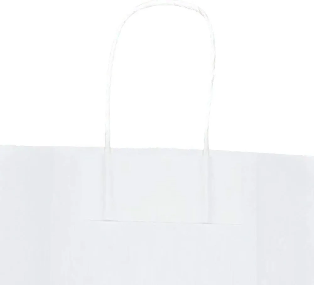 bagmad 50 Pack 5.25x3.25x8 Inch Sturdy Small White Gift Paper Bags with Handles Bulk, Kraft Bags, Craft Grocery Shopping Business Retail Party Favors Wedding Sacks (White, 50pcs)