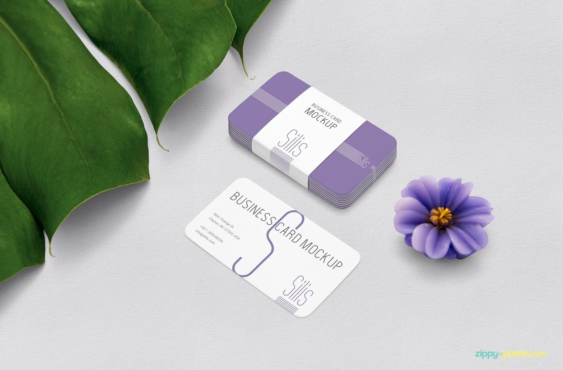 Free Business Card Mockup PSD