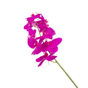 ORCHID 100CM